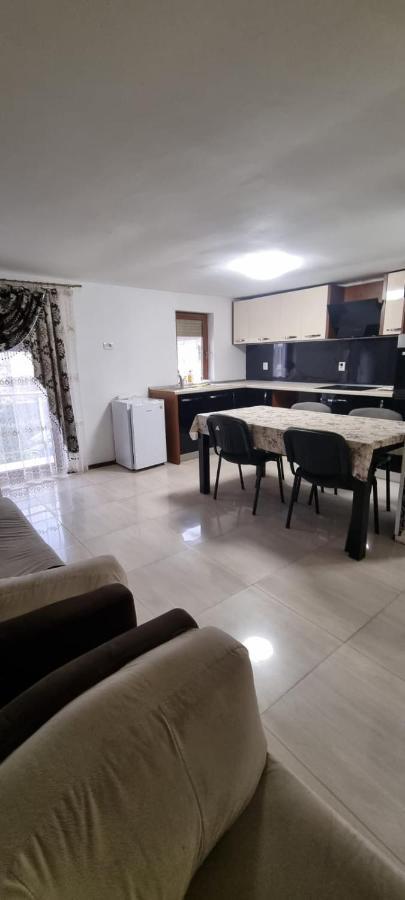 Vila Davison Târgu Jiu Εξωτερικό φωτογραφία